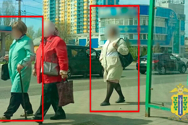 Пресс-служба УМВД России по Липецкой области   📷