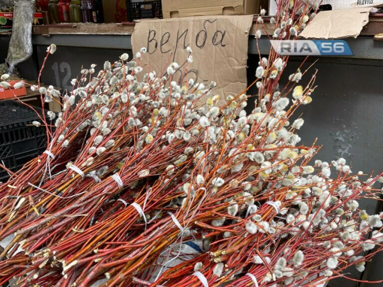    28 апреля — Вербное воскресенье: Сколько стоит символ праздника в Оренбурге Белов Михаил Александрович