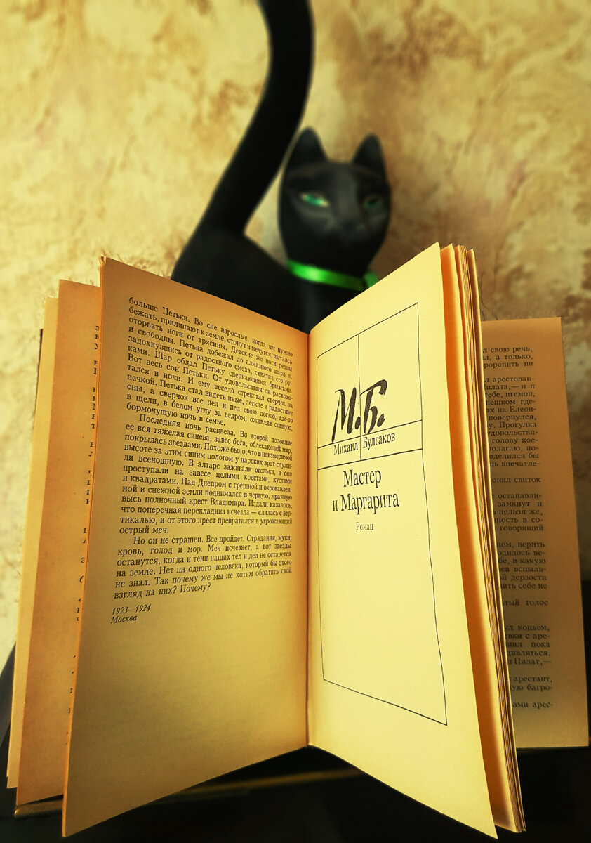 Раз уж я нашла книжку, то перечитаю-ка я роман!