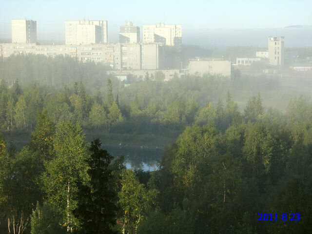 Август, утренний туман над Школьным озером. Вид из моего северного окна
