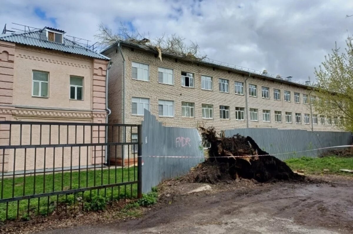    Прокуратура в Туле проводит проверку после падения дерева на интернат