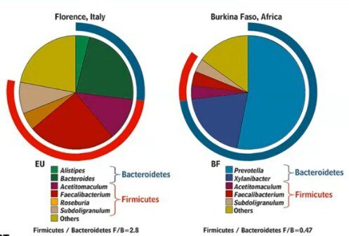 Разница между жителем Африки и европейцем. Картинка из интернета.
