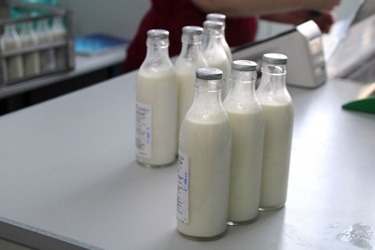 Фото: Е. Зимней