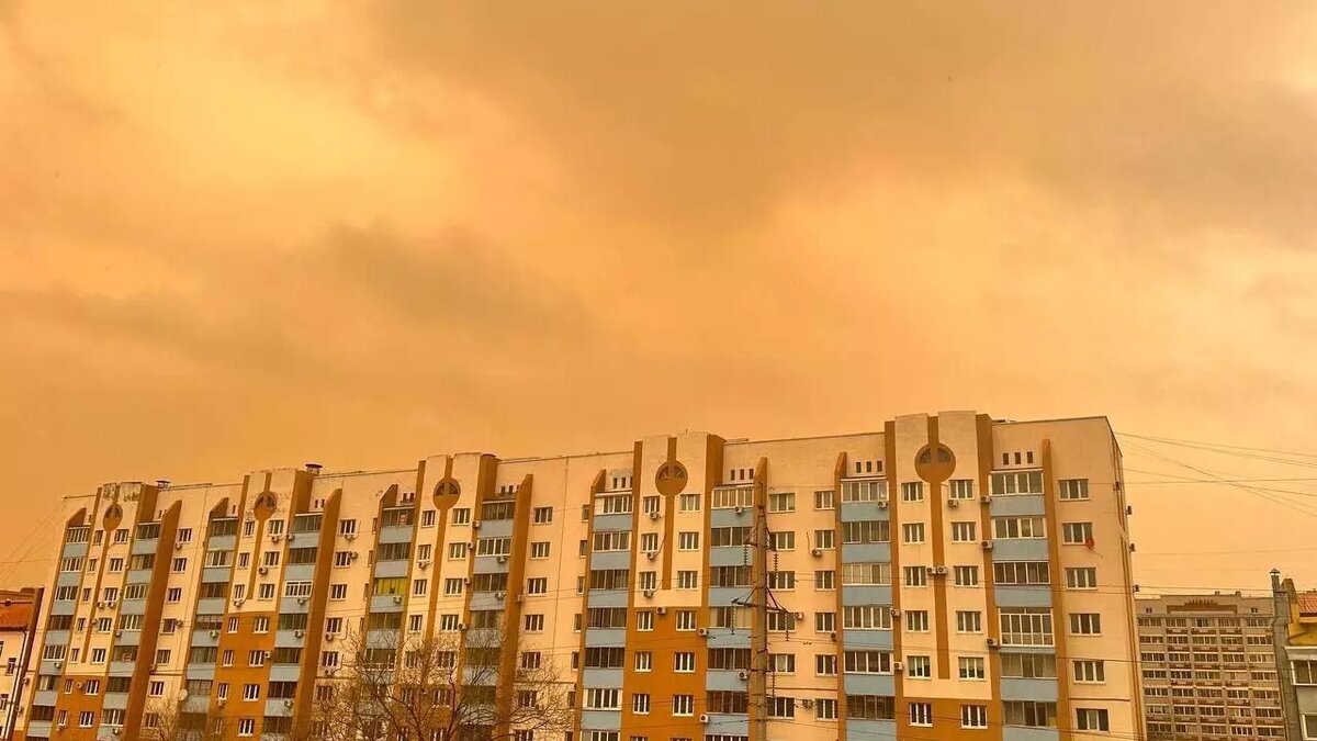     Источник: «Лента новостей Приамурья»