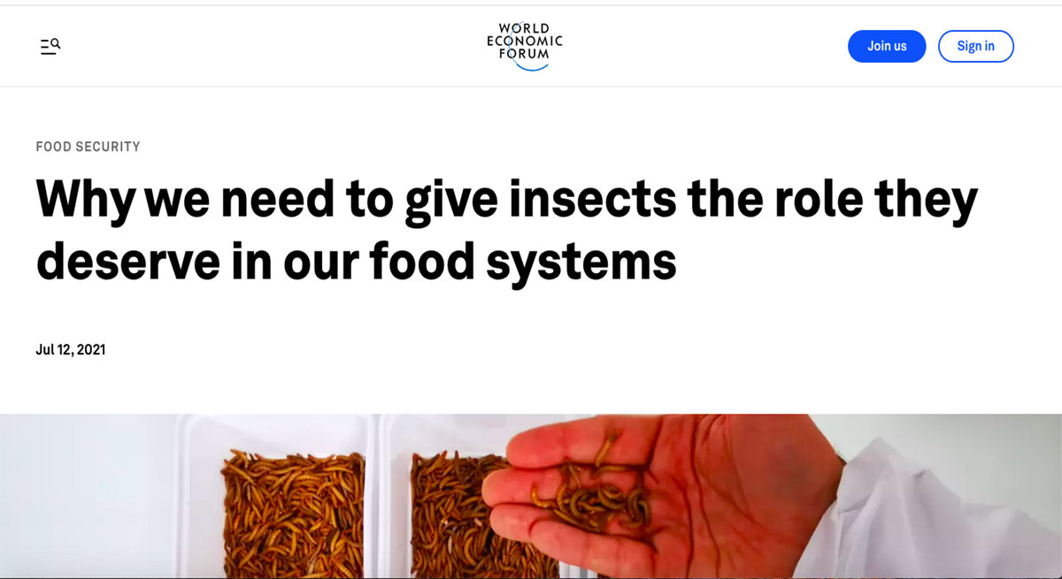 Заголовок статьи ВЭФ: "Почему нам нужно предоставить насекомым ту роль, которую они заслуживают в наших пищевых системах" 