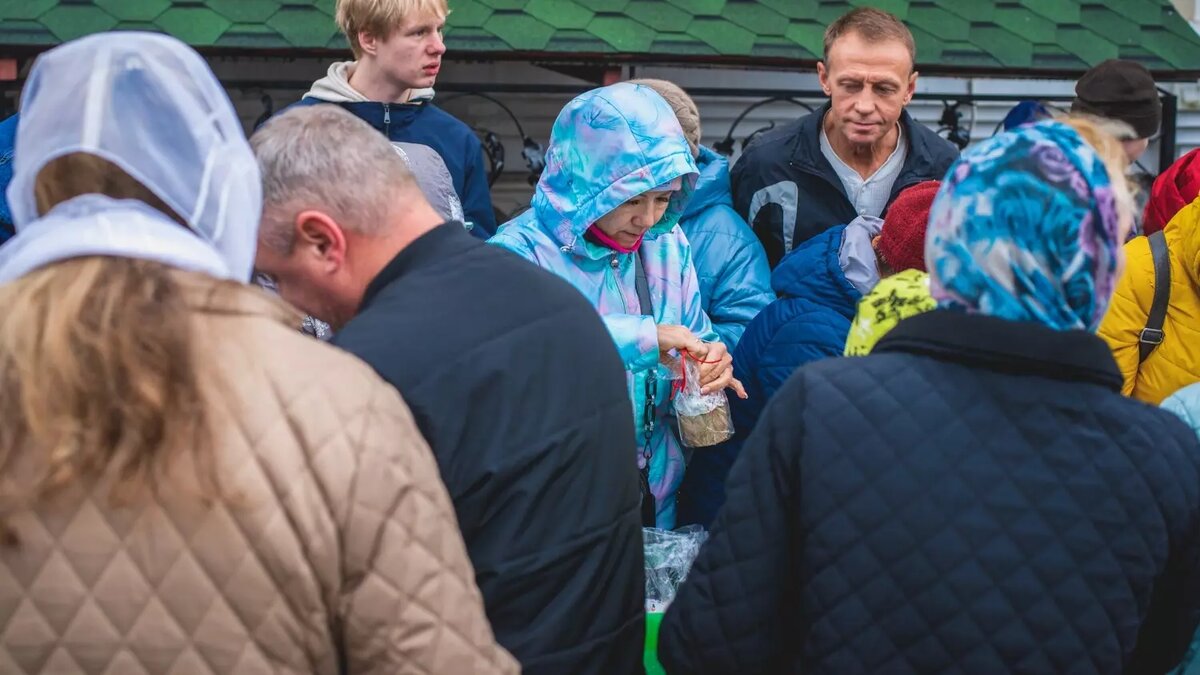     Источник: 1MI