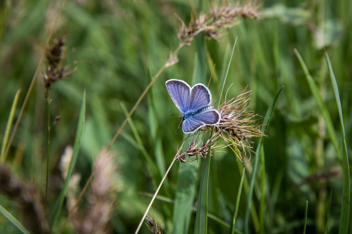 Фото: пресс-служба администрации Симферополя