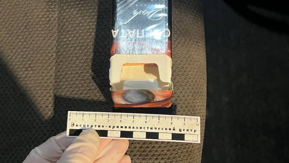    Фото: Пресс-служба Госавтоинспекции города Москвы