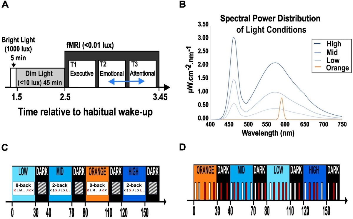    eLife (2024). DOI: 10.7554/eLife.96576.1