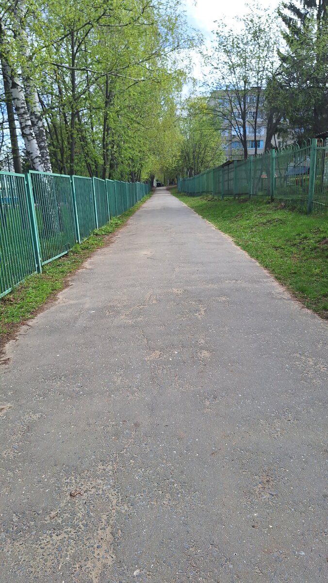 У нас все зеленее