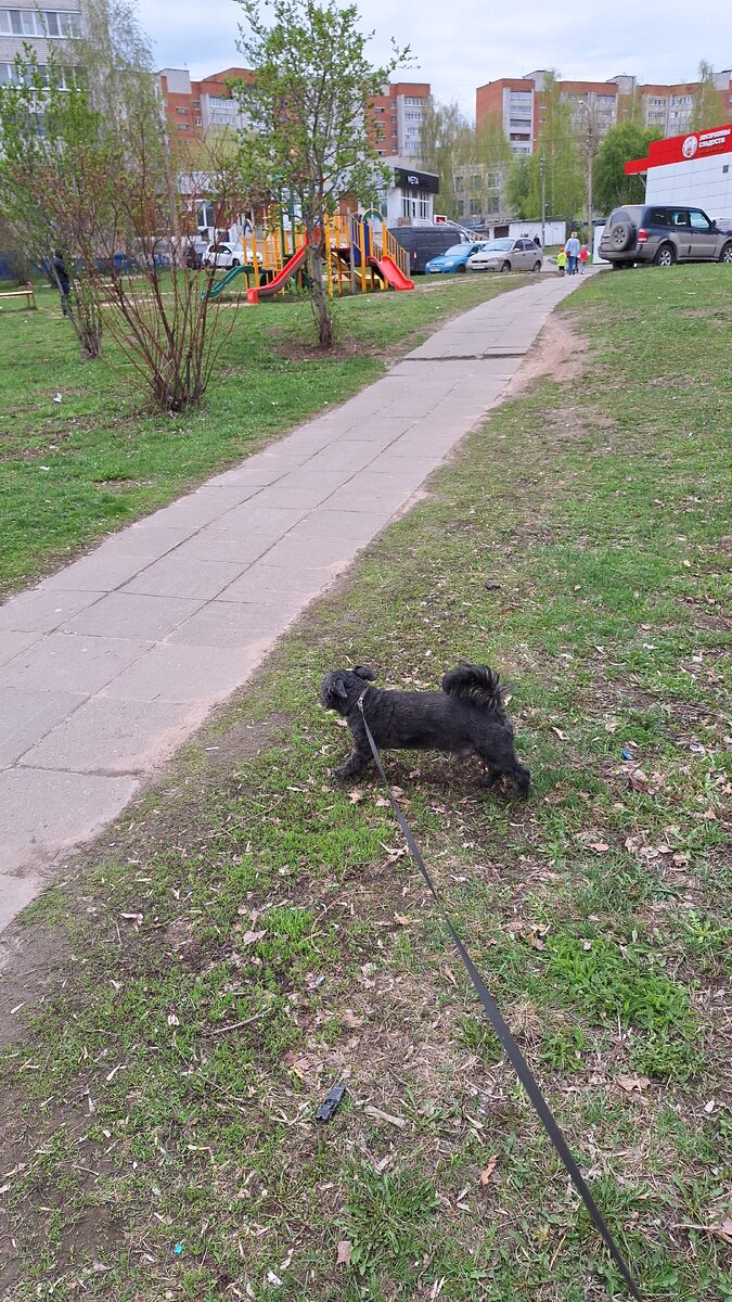 Гуляем мы подольше с утра