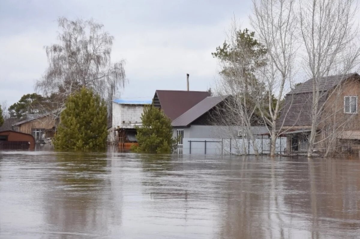    Оценку пострадавших в Оренбуржье домов хотят завершить за майские праздники.