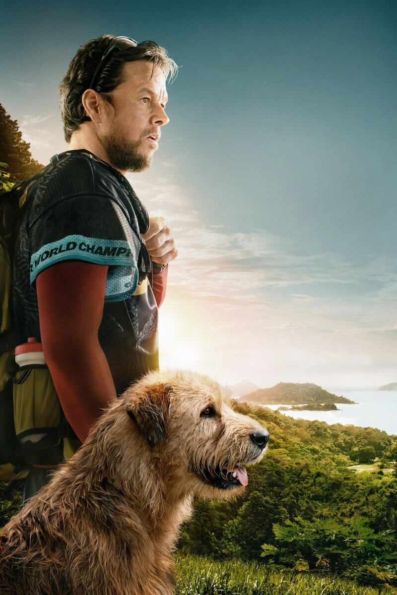  «Артур, ты король» Фото:Кинопоиск.ру