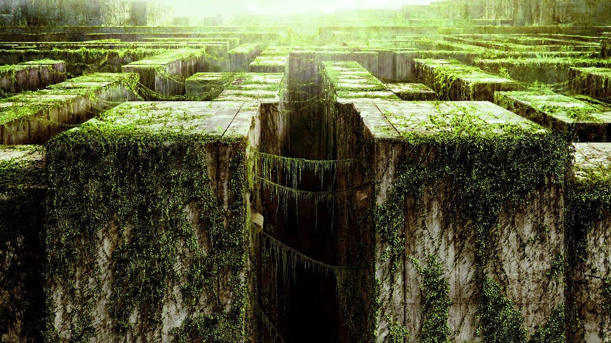 Фото из сети.