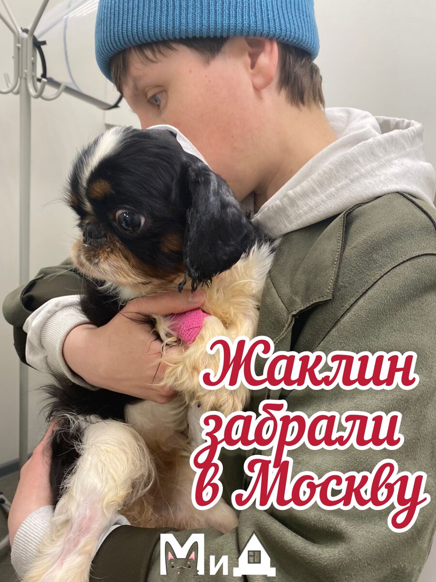 В среду ночью Жаклин приехала в Москву