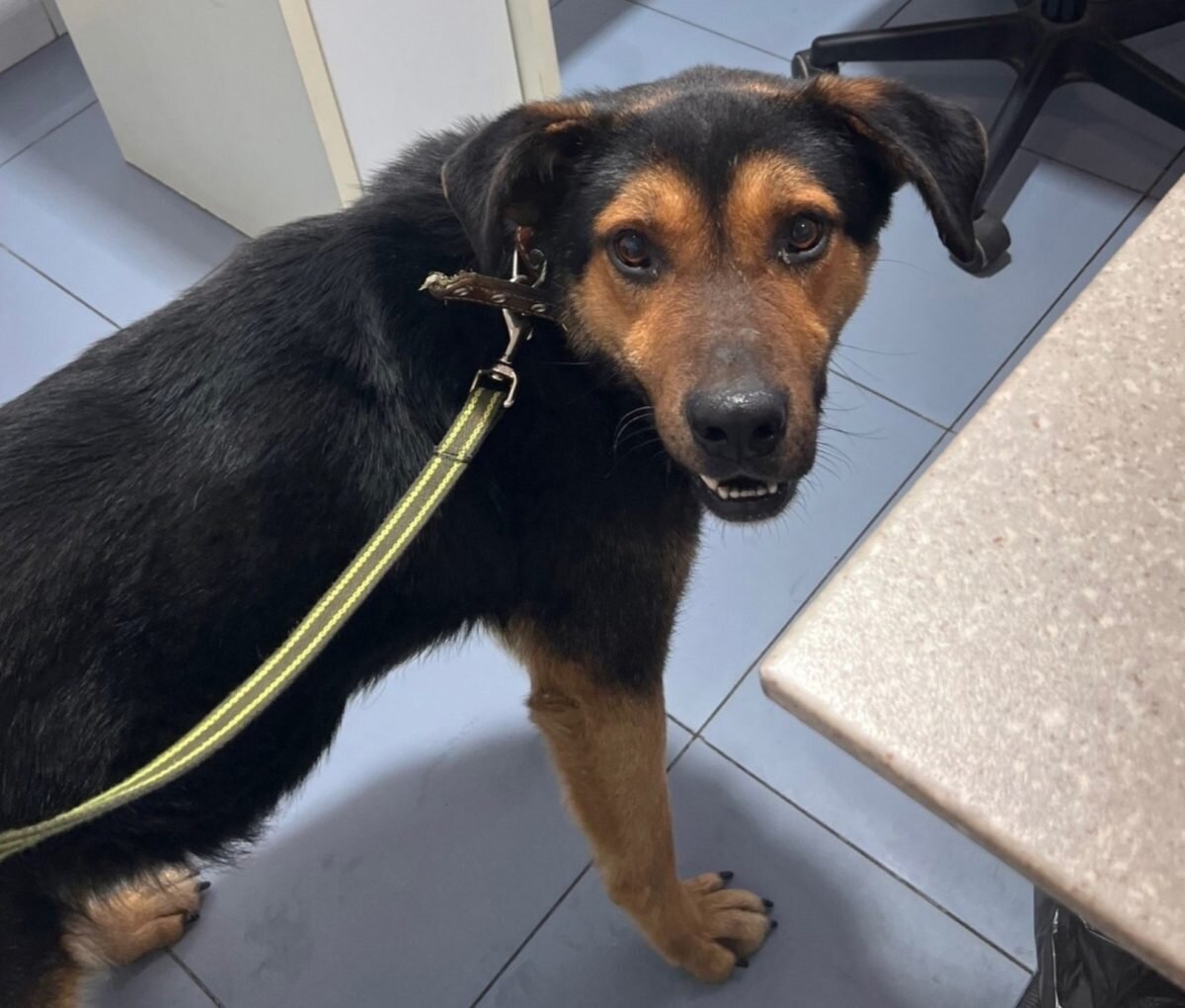    Предполагают, что Семен попал под машину или пострадал от рук людей