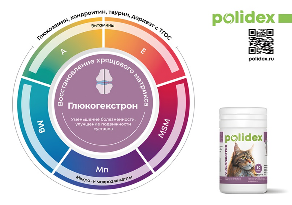 Когда наши питомцы стареют, суставы могут стать одним из первых мест, где проявляются возрастные изменения.-2