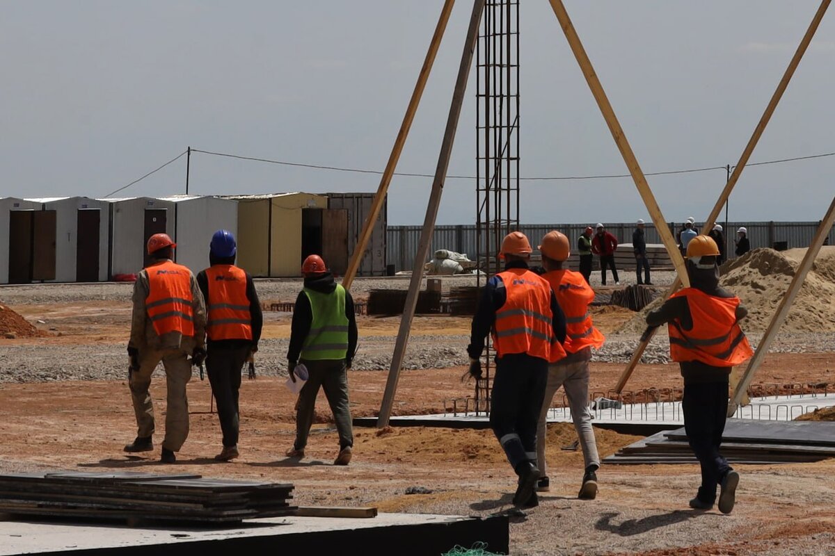 Фото: Наталья Сомова