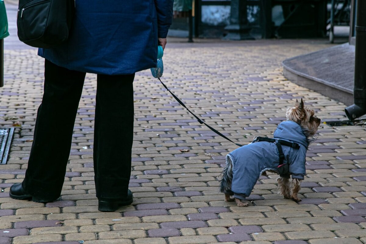 Фото: Михаил Гладчук