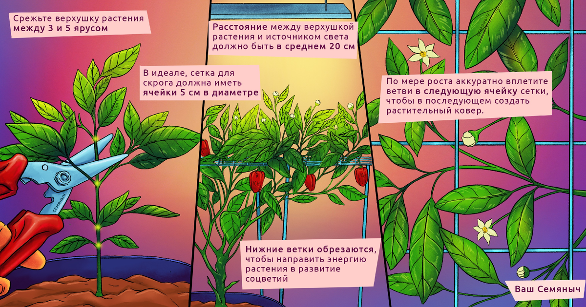 Купить Сетка Scrog Net / см - Growsvet (Самара)