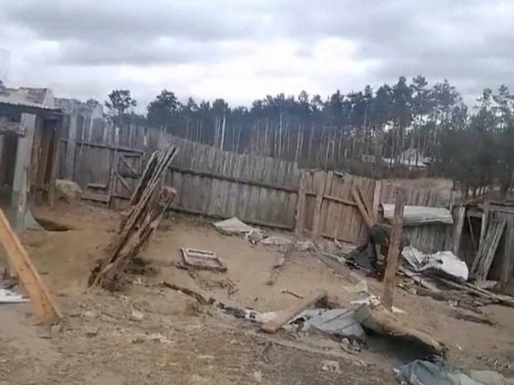     Фото: скрин с видео