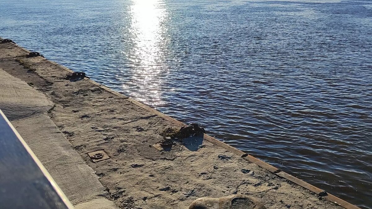     Источник: newsnn.ru