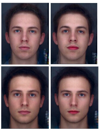 Повышенный контраст усиливает женственность и привлекательность женских лиц, но снижает мужественность и привлекательность мужских лиц. В то время, как более контрастные брови/ресницы работают для обоих полов.