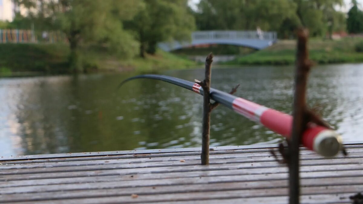     Источник: 1MI