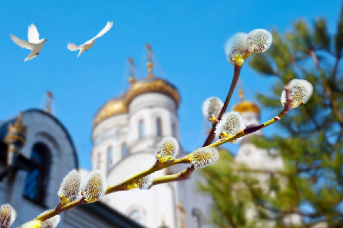 Вербное воскресенье, история и традиции праздника: что можно и нельзя  делать 28 апреля | Изелин | Дзен