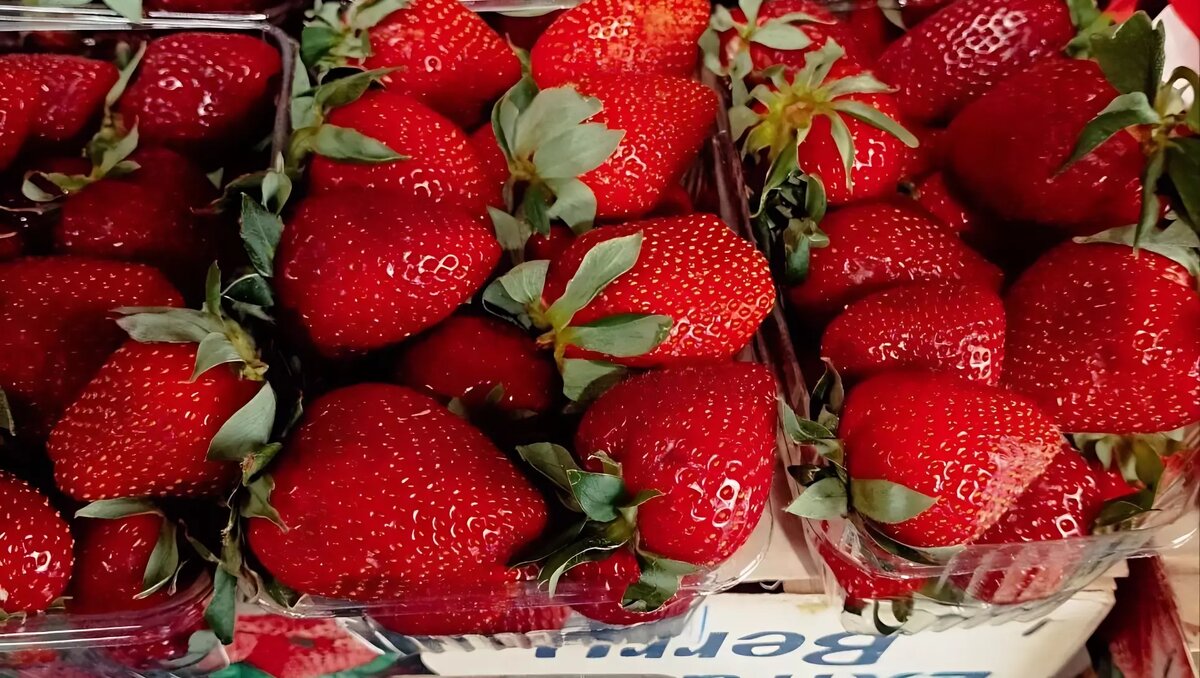     Источник: prmira.ru