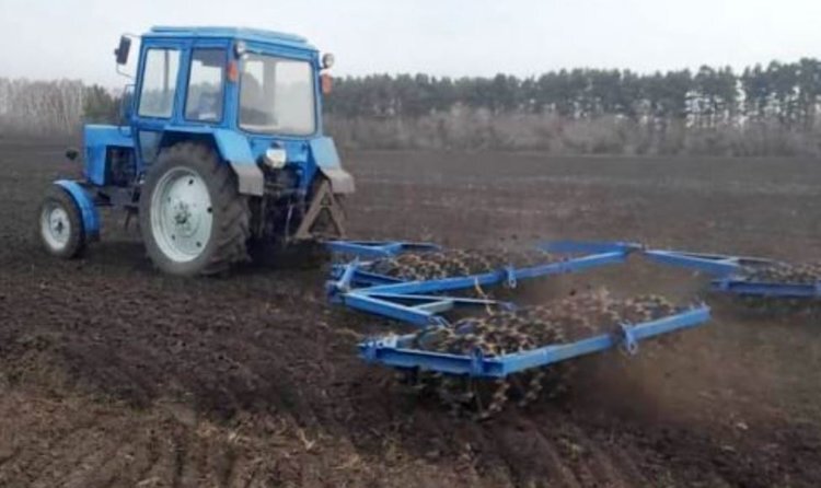    В России растет спрос на семена сои, чечевицы и многолетних трав