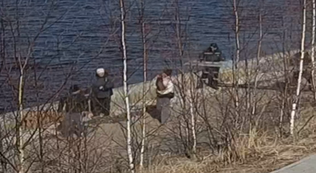    В Урае спасли упавшую в реку собаку