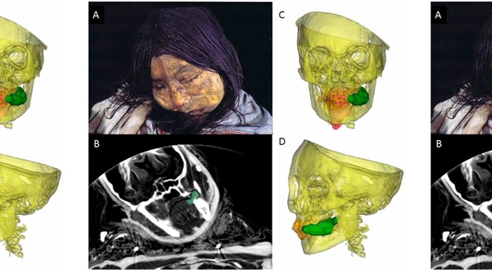   Andrew S. Wilson et al. / PNAS, 2013