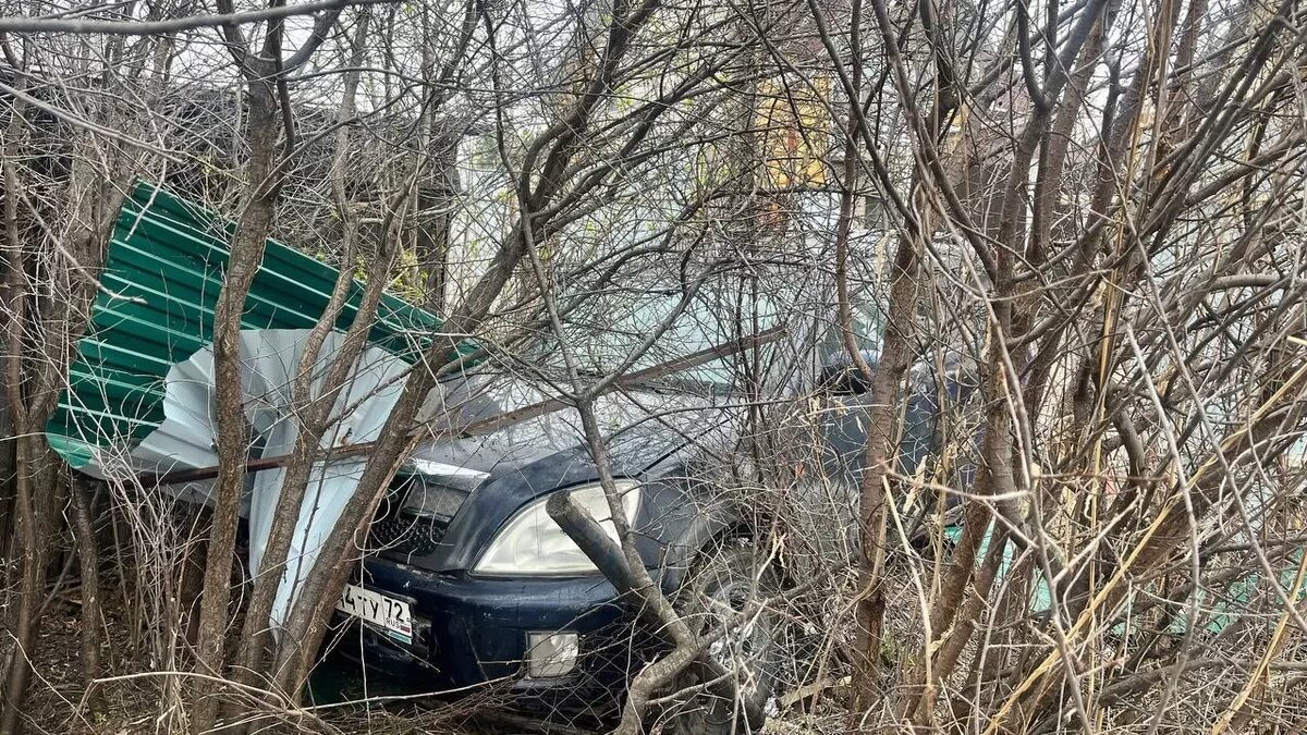     Источник: ГИБДД по Тюменской област