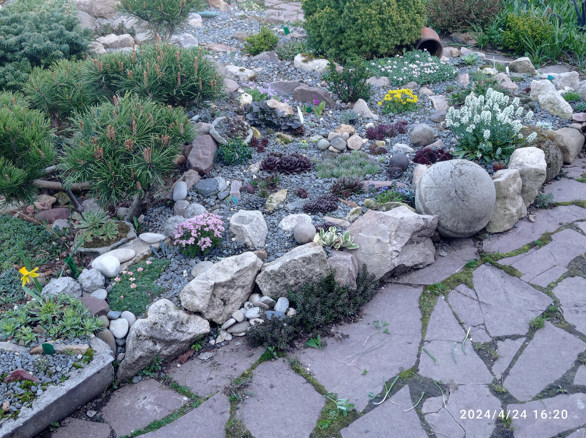 южная сторона