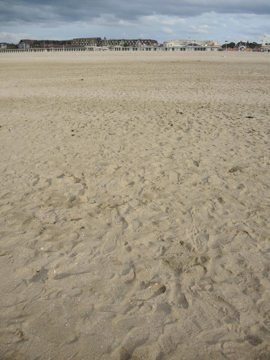 ...Пейзажа краше не могу пожелать я 😺