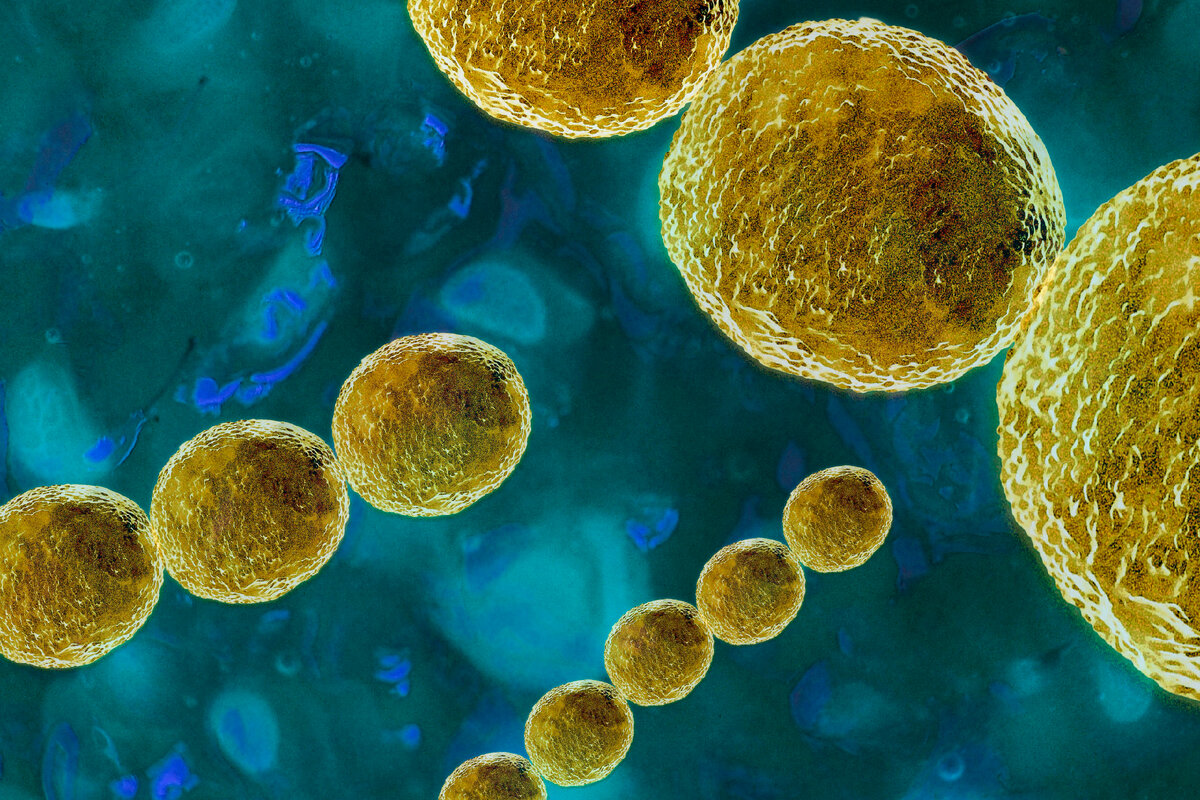 Фото: SIGRID GOMBERT/GLOBALLOOKPRESS