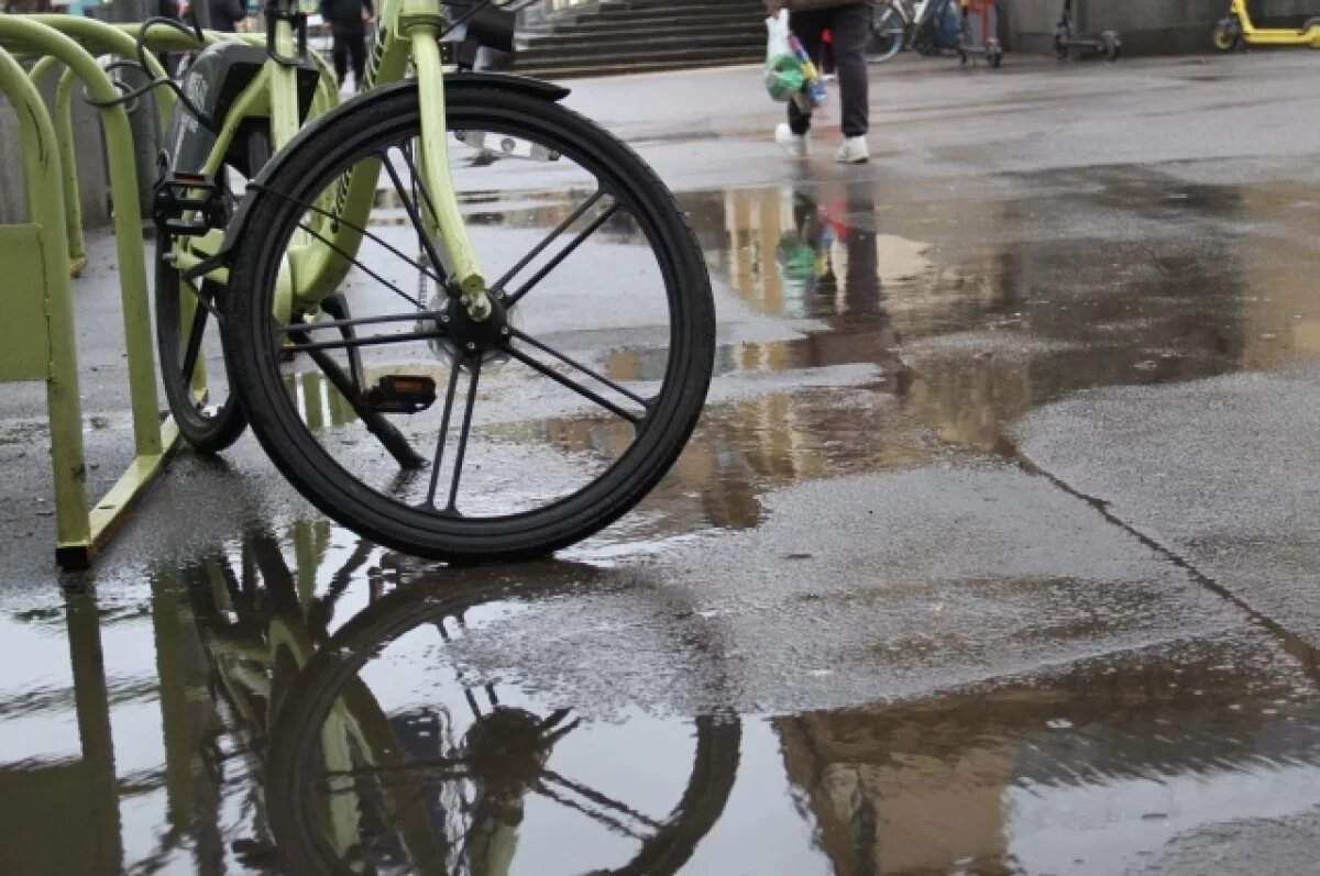    В Петрозаводске завели уголовное дело после гибели велосипедиста