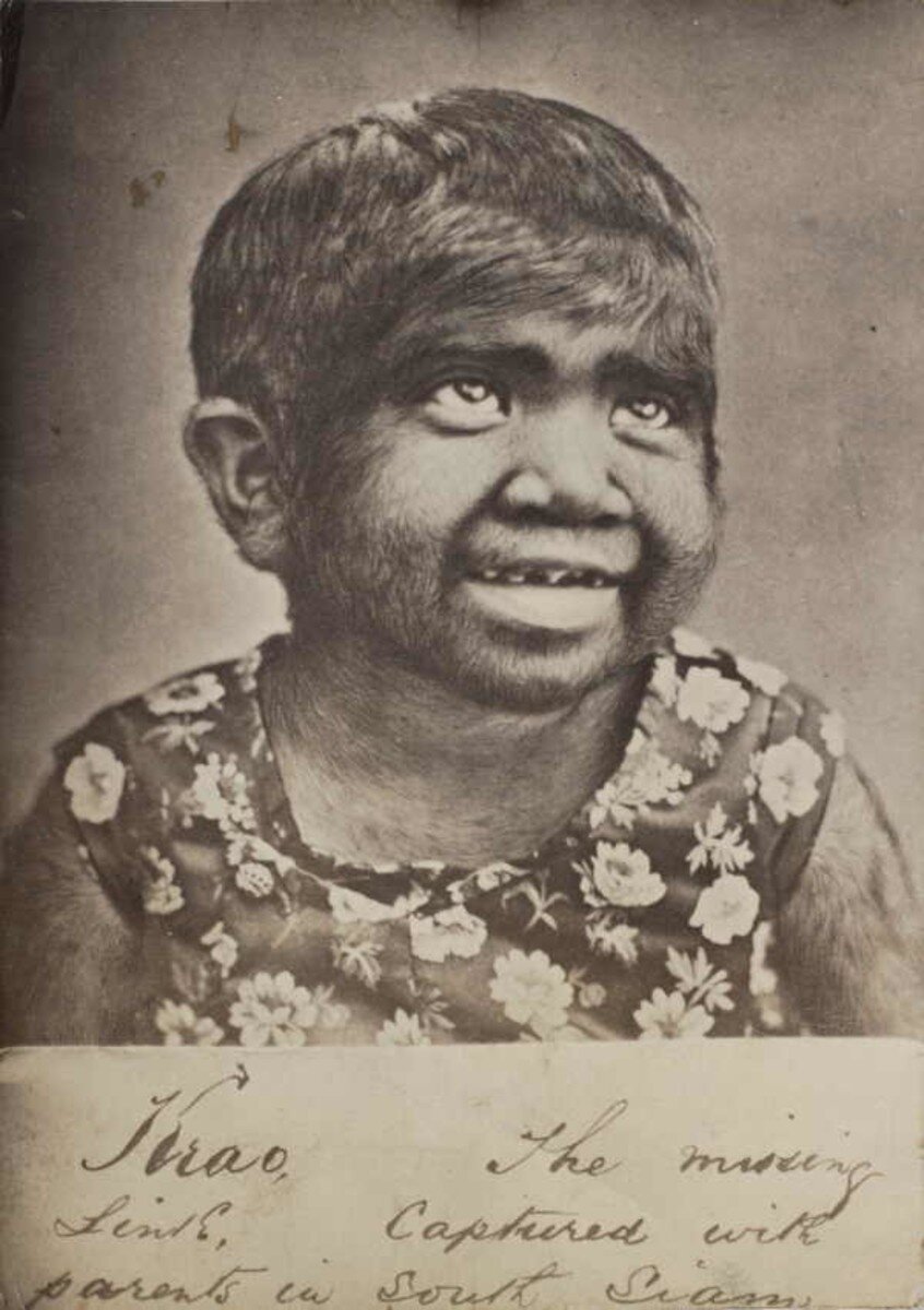 Источник: fusedlearning.com