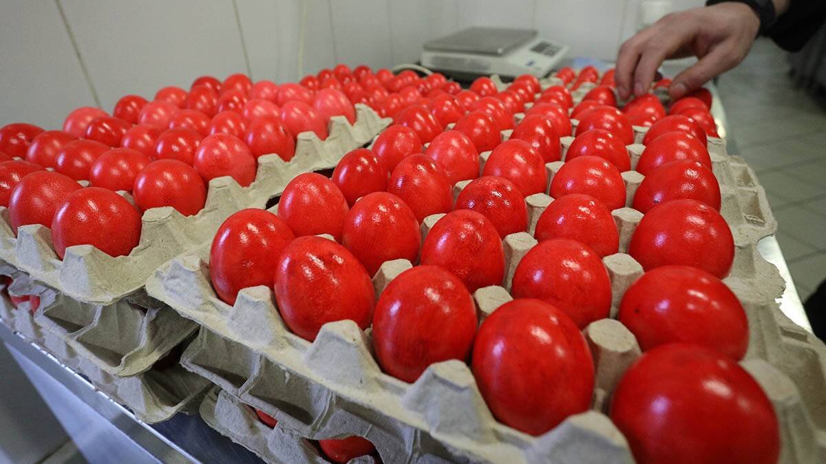    Фото: Андрей Никеричев / АГН Москва