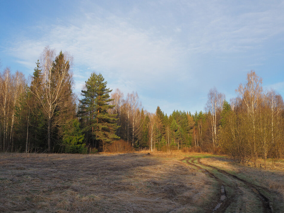 Дорога к озеру.