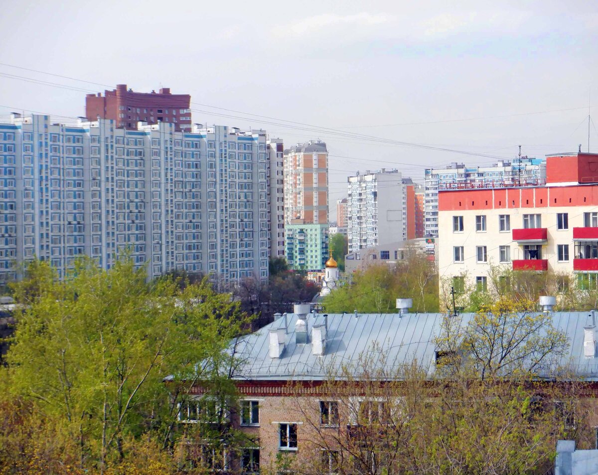 Сосны на Радужной улице | Москва и другие города | Дзен