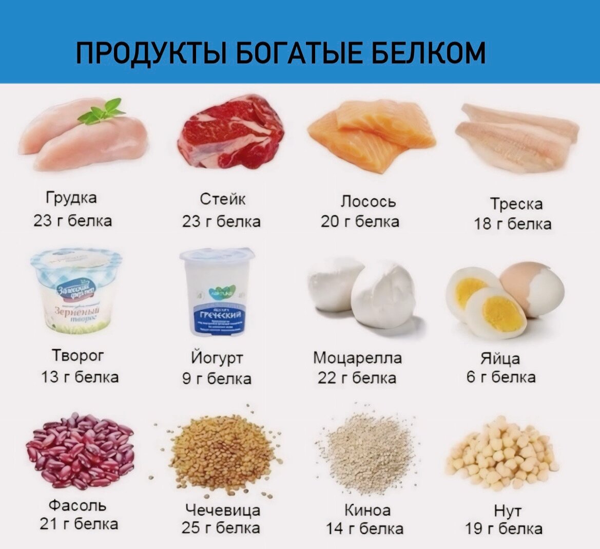 Самый белковый продукт на 100. Продукты с высоким содержанием белка. В каких продуктах содержится белок в большом количестве список. Белок в продуктаа. Высокобелковые продукты.