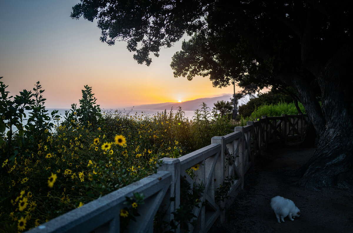 Картинка с бесплатного фотостока https://unsplash.com, автор Oxana Melis 