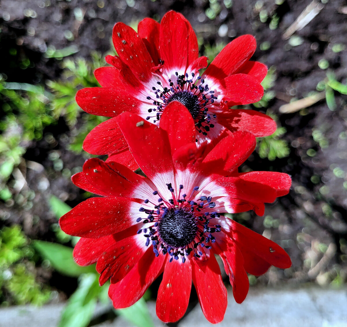 Фото из личного архива.