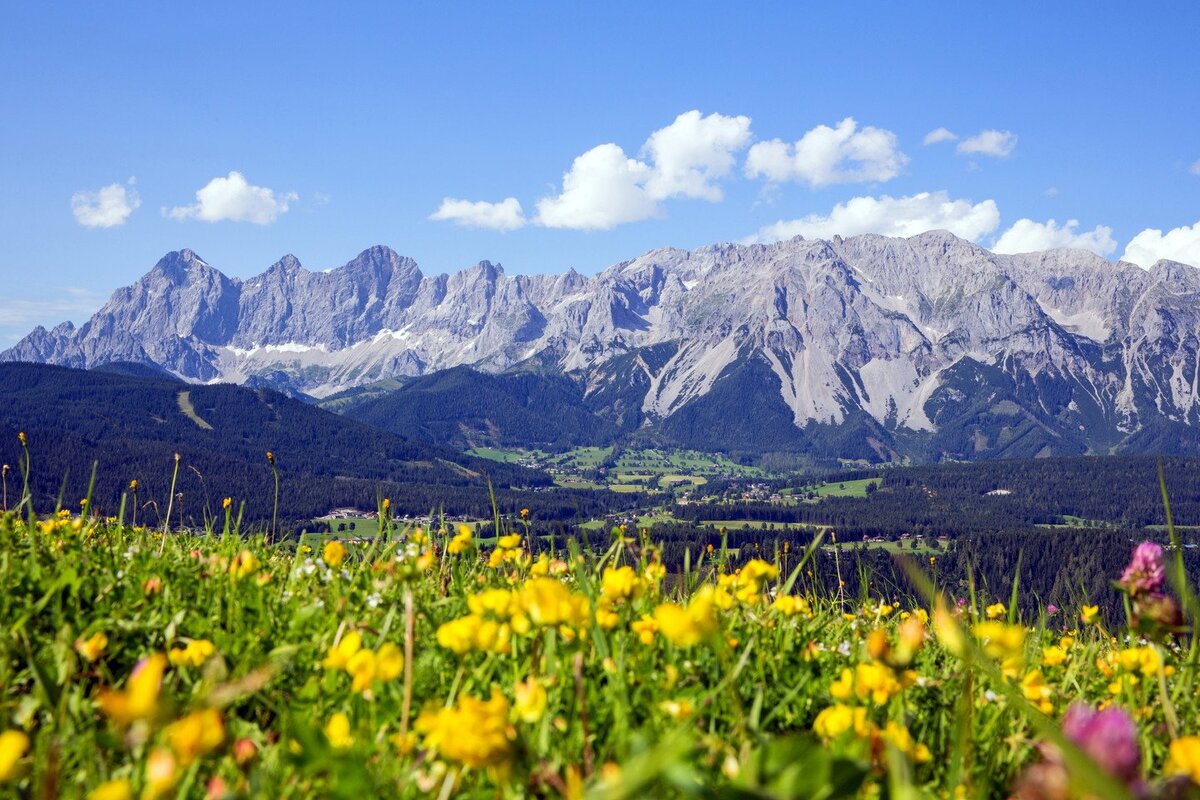 Штирийские Альпы