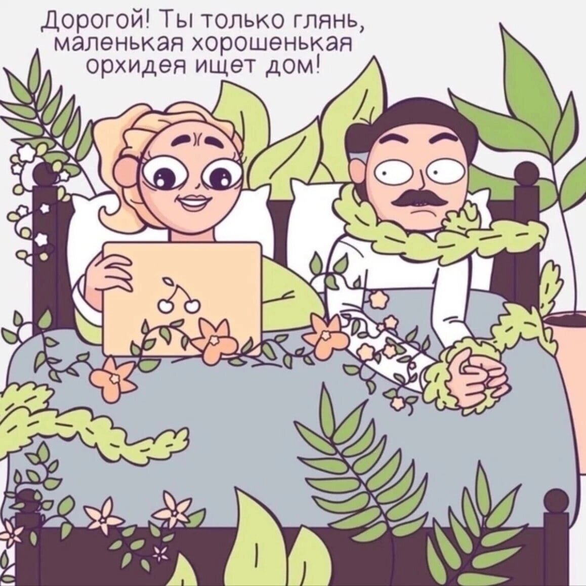 Картинка из интернета. 