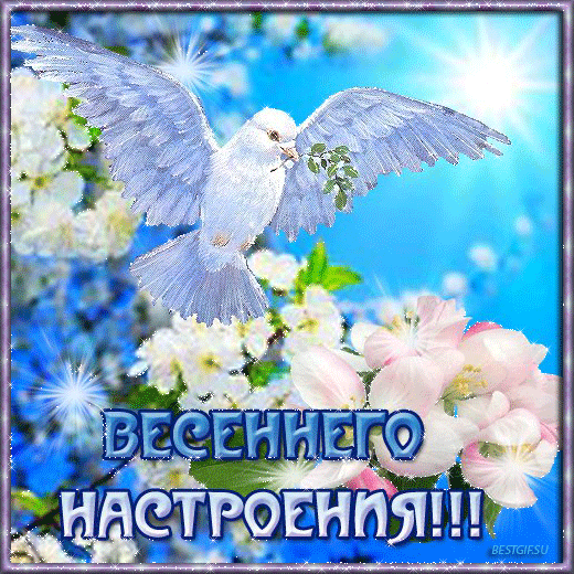 Источник: Яндекс картинки