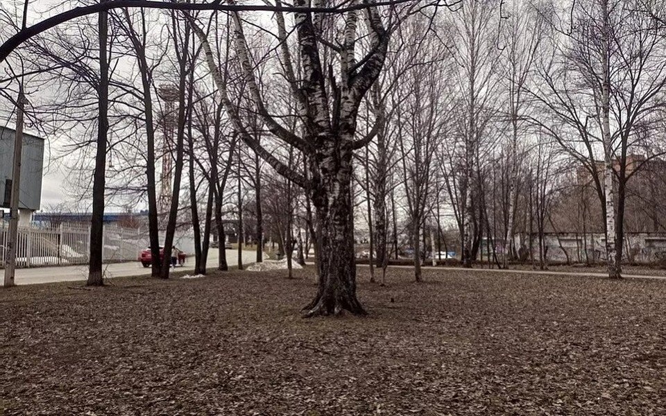    Аллея рядом со стадионом. Фото: Дана Солнцева