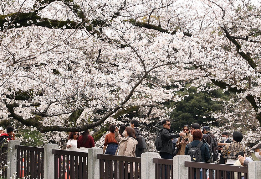 Фото: Zuma / TASS